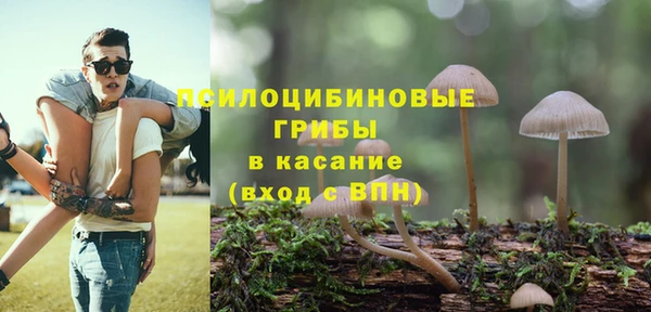 MDMA Premium VHQ Каменка