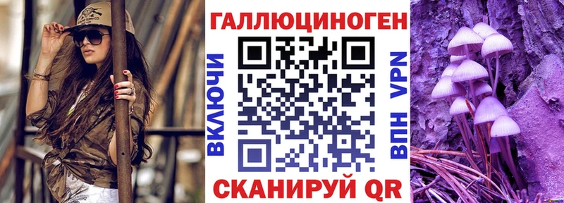 Галлюциногенные грибы Psilocybine cubensis  Купить где  Балабаново 